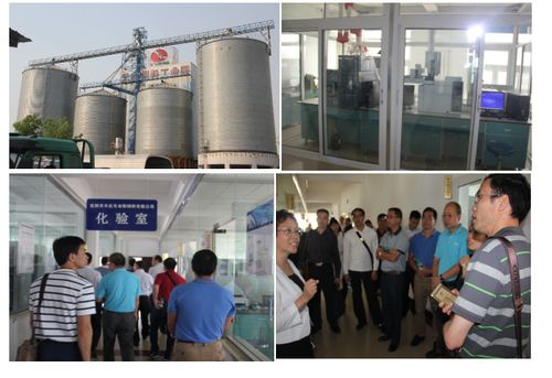 廣東養(yǎng)豬行業(yè)協(xié)會攜手會員單位探索東北民辦培訓機構(gòu)合作新路徑